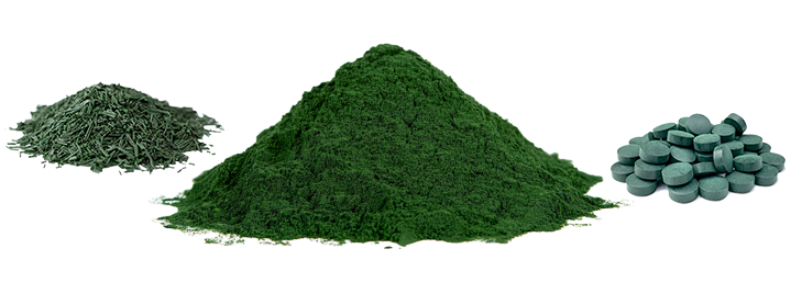 La spiruline de Cannes